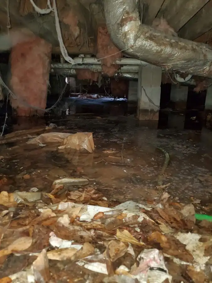 Crawl space flood assessment for Leak Detection & Repair in Dickinson